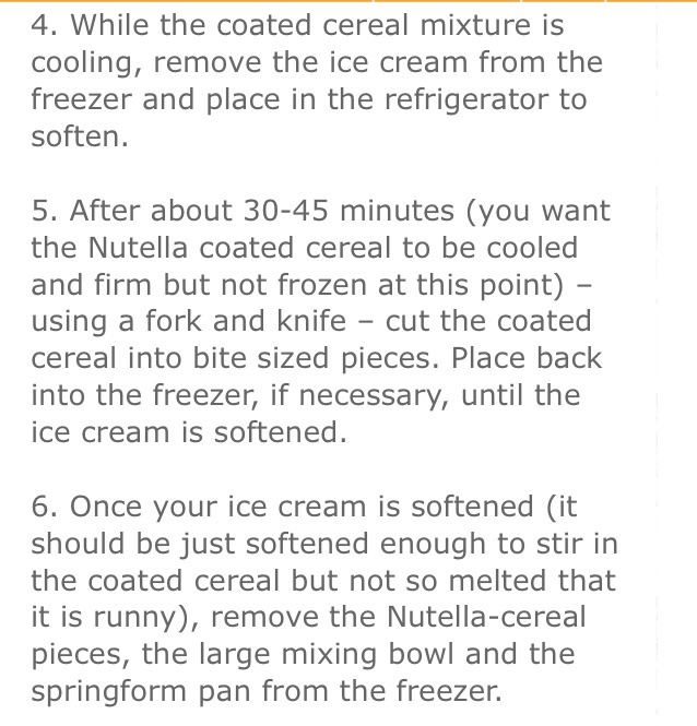 Nutella Crunch Ice Cream Cake 