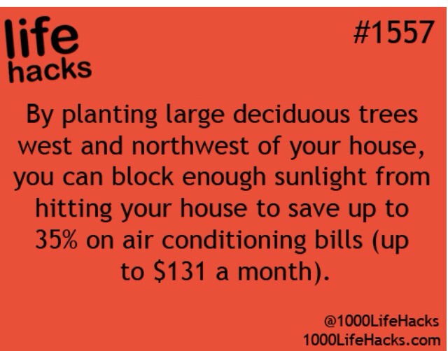 Cool Life Hacks