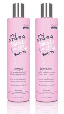 Faster Blow Dry
"The entire line from My Amazing Blow Dry Secret. Since it is only available in salons or directly from their site, people aren't really exposed to it."
- Jessika, polish insomniac
Try:
My Amazing Blow Dry Secret Shampoo and Conditioner $26.50 each