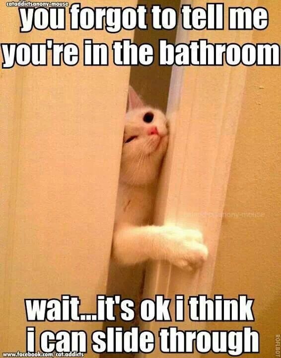 Hope this made you smile!
~Amanda Alcala 