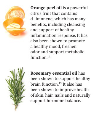 The 7 Most Powerful Essential Oils To Have In Your Home.