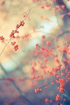 Beautiful Photography