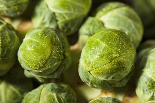 9 New Super Foods