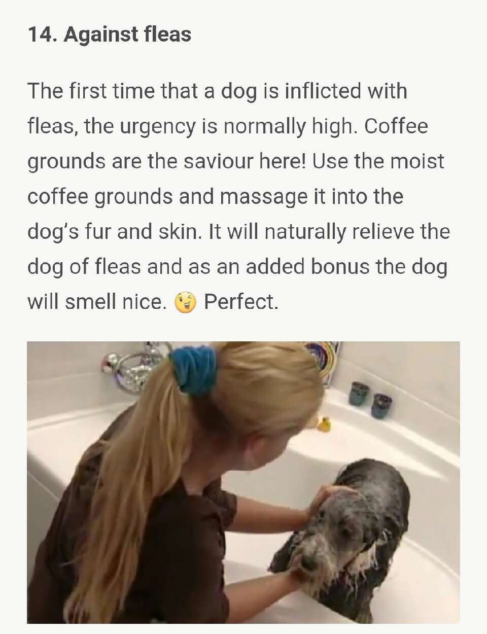 What she smears on her butt, everyone has at home – but nobody uses it!