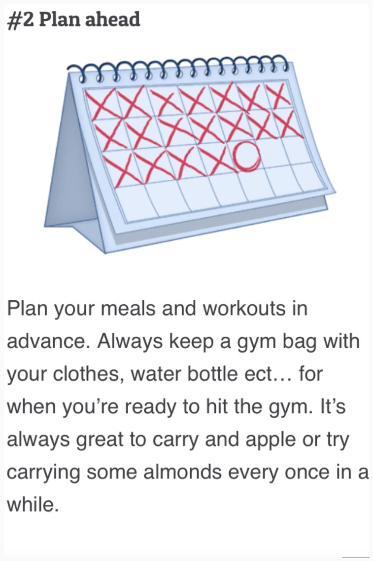 Beginners Guide To Fitness. 