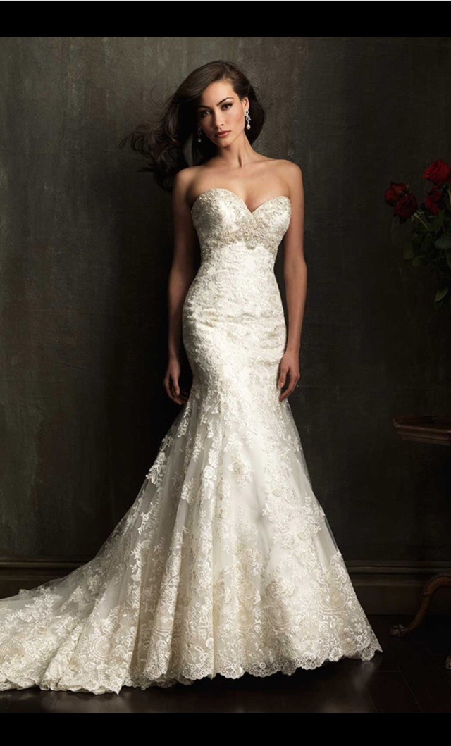 Beautiful Wedding Dresses UNDER $500! π #tipit