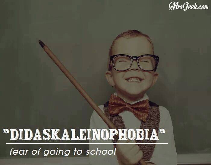 Different Types Of Phobia Which Really Do Exist. 😨