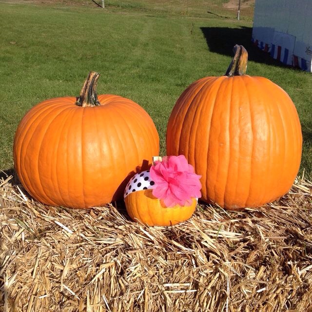 Gender Reveal Ideas For The Fall