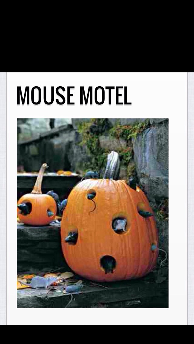 Halloween decorations! 