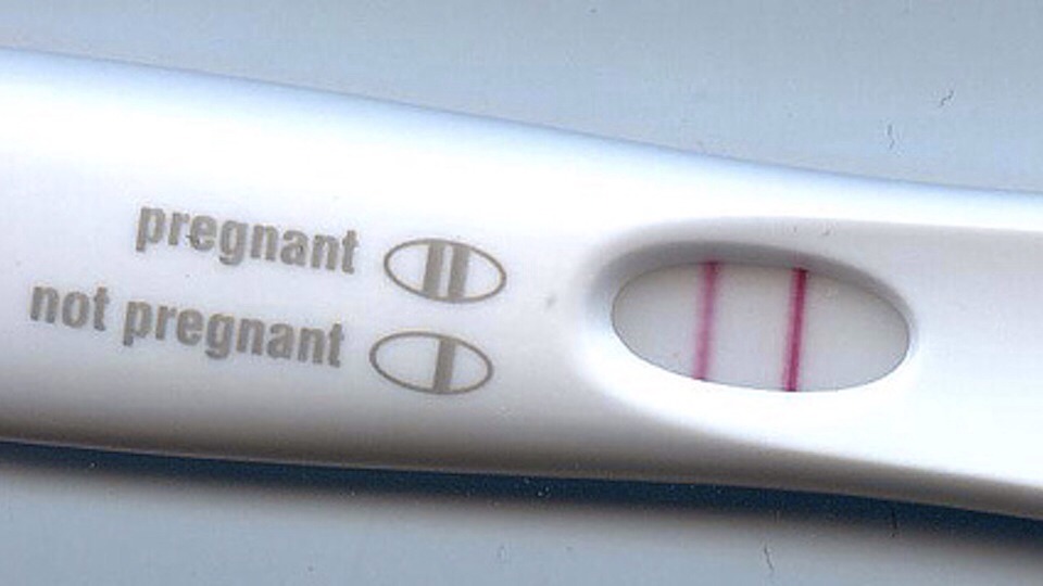 Pregnancy test: Not all women experience these things. And these things could mean other things besides pregnancy. The only way you can know for sure is taking a test. Go to your doctors or the closest drug store. Good luck rather you're expecting or not! 👶💗