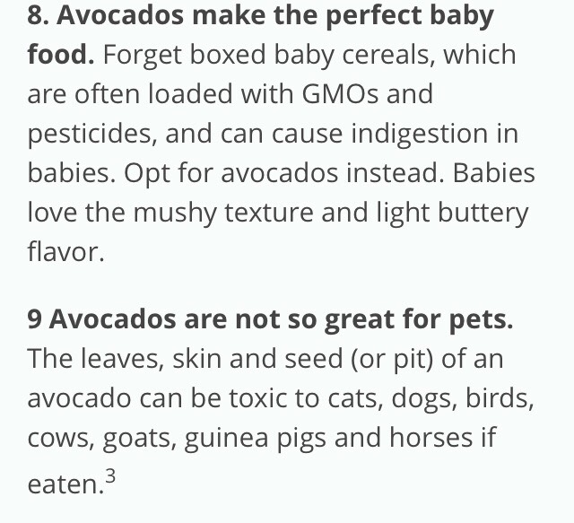 "15 THINGS YOU DIDN'T KNOW ABOUT AVOCADOS"