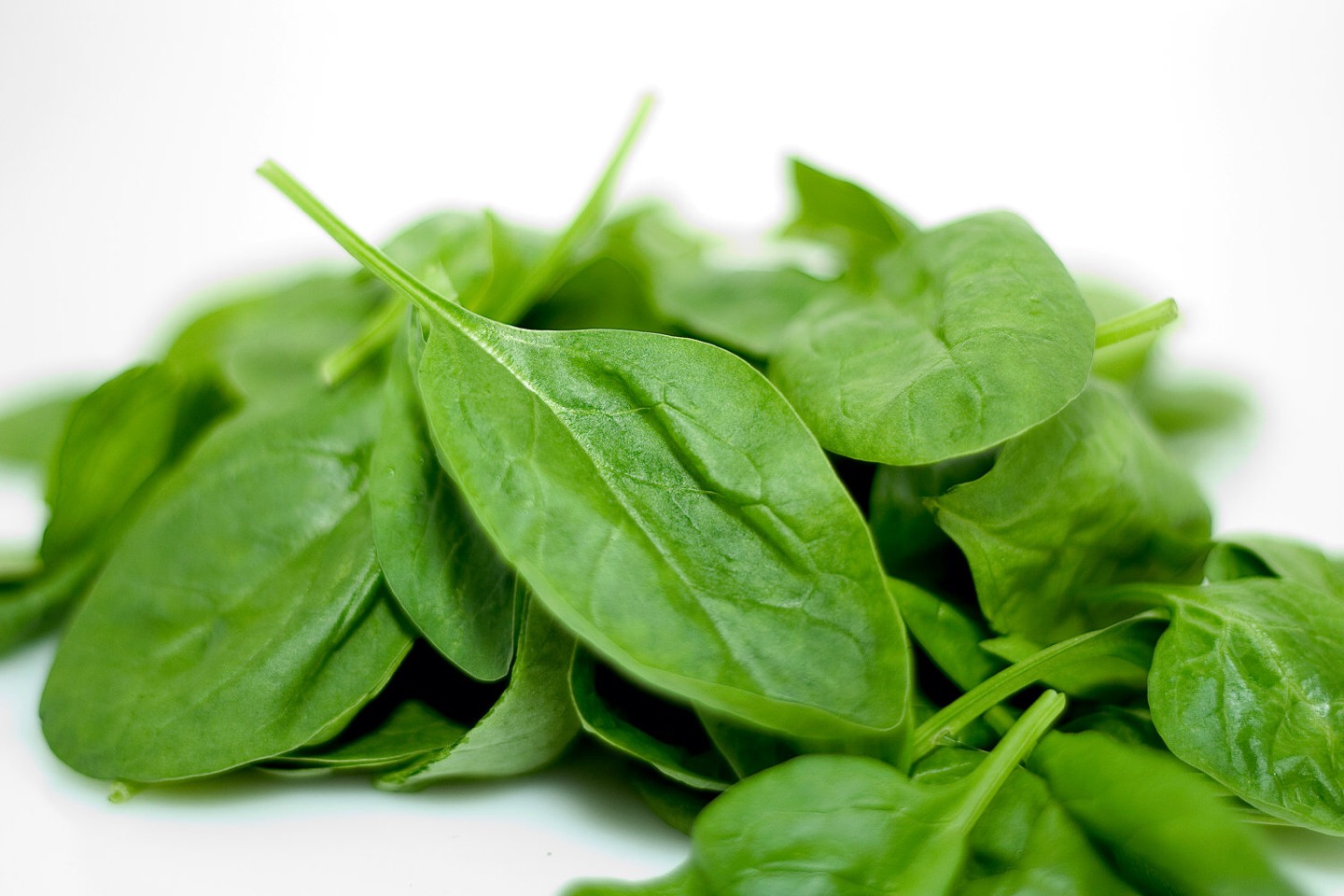10.ANTI WRINKLE MASK: take half a cup of spinach juice and use a cotton ball to soak it up and then massage onto your skin. Leave on for half an hour then rinse. Simple but very effective.