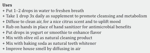 The 7 Most Powerful Essential Oils To Have In Your Home.