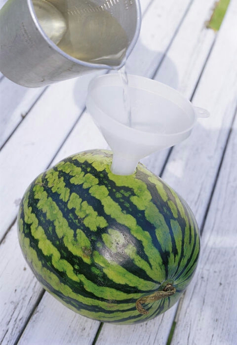Infuse it with alcohol 😉