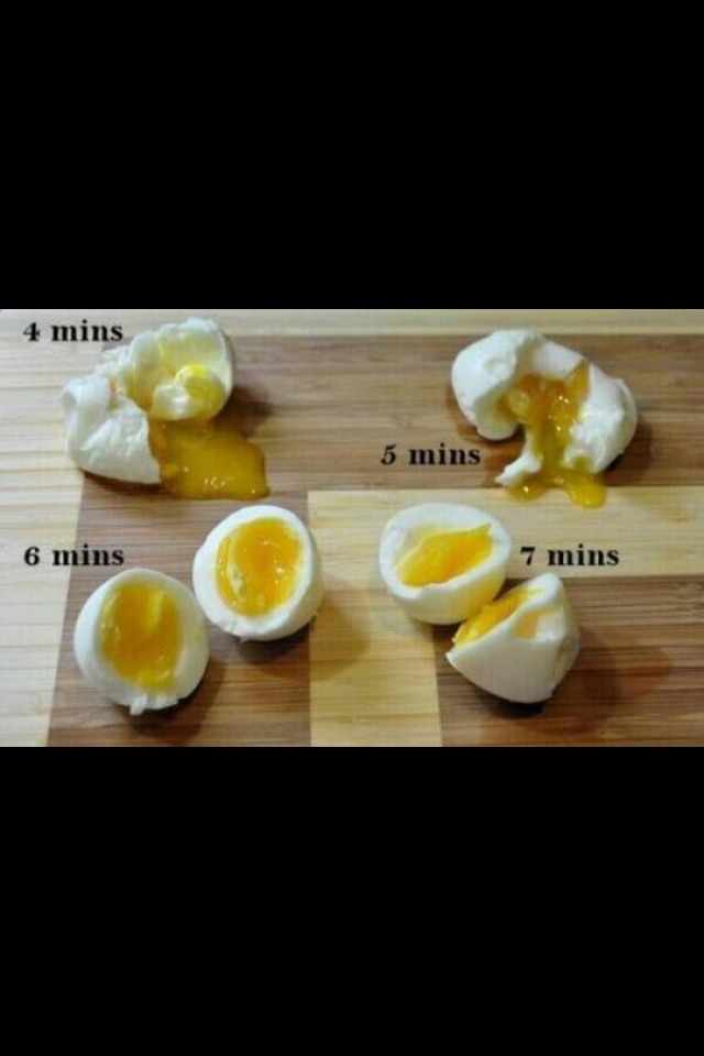 Food Fun