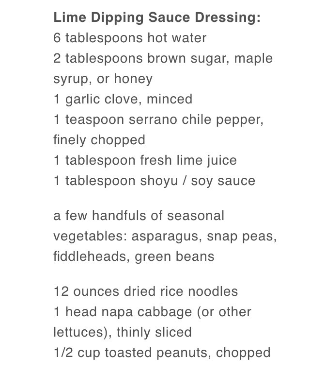 Spring Roll Salad Recipe 