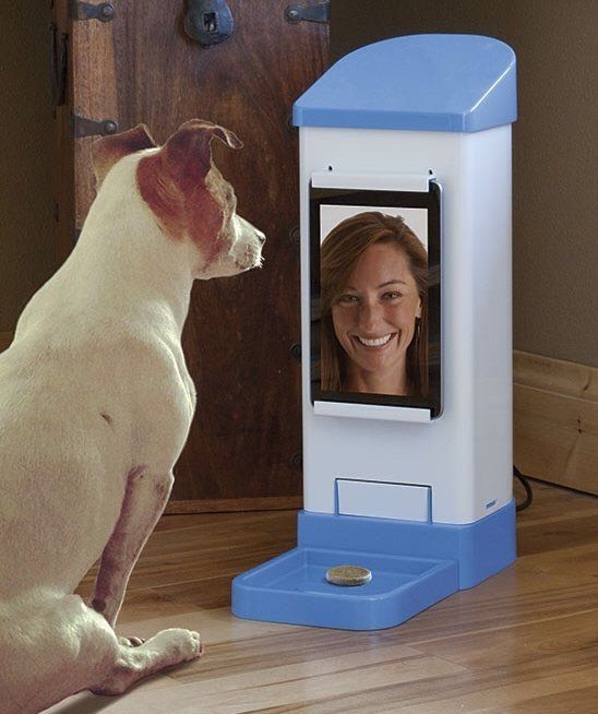12. iCPooch 
$149.99
Now you can videochat with your dog anytime and deliver a cookie using your phone, tablet or computer from anywhere!
