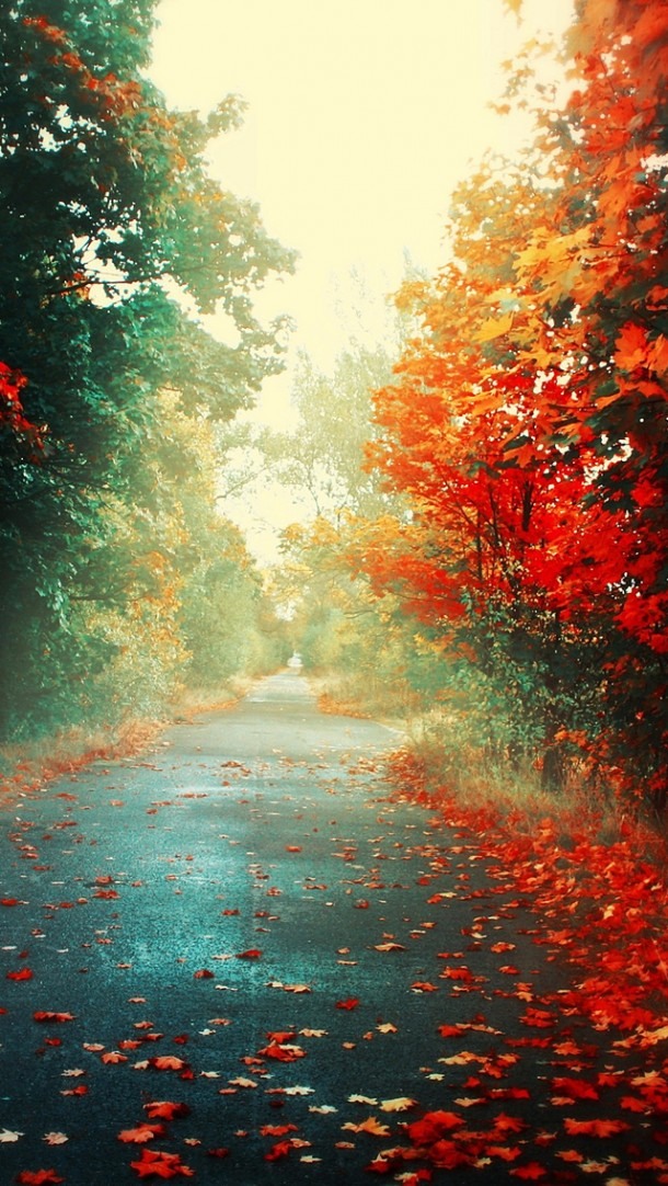 Beautiful Photography