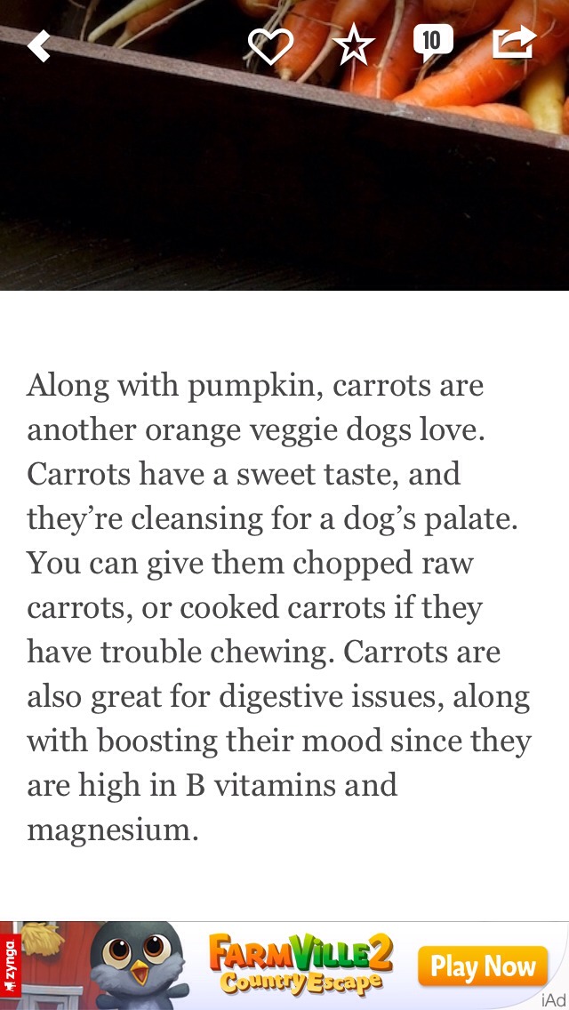 7 Puppy Friendly & Healthy Foods