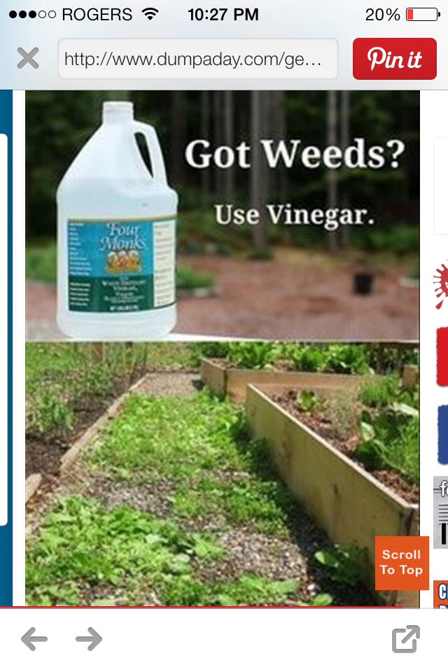 Over 35 Very Useful Tips You Will Want To Check Out!!!