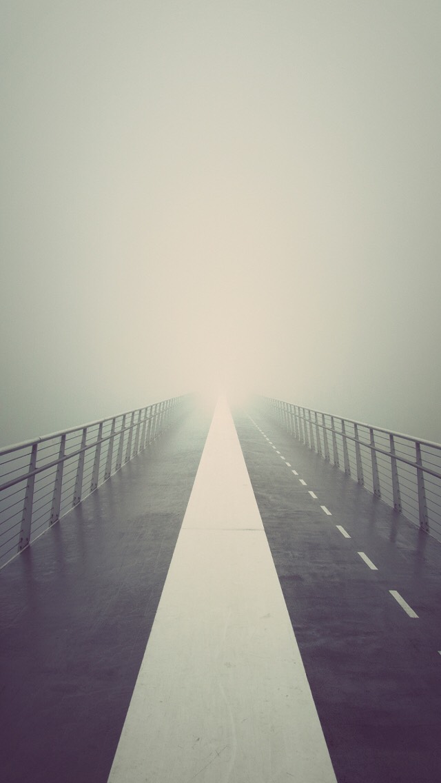 Adorable Phone Wallpapers!