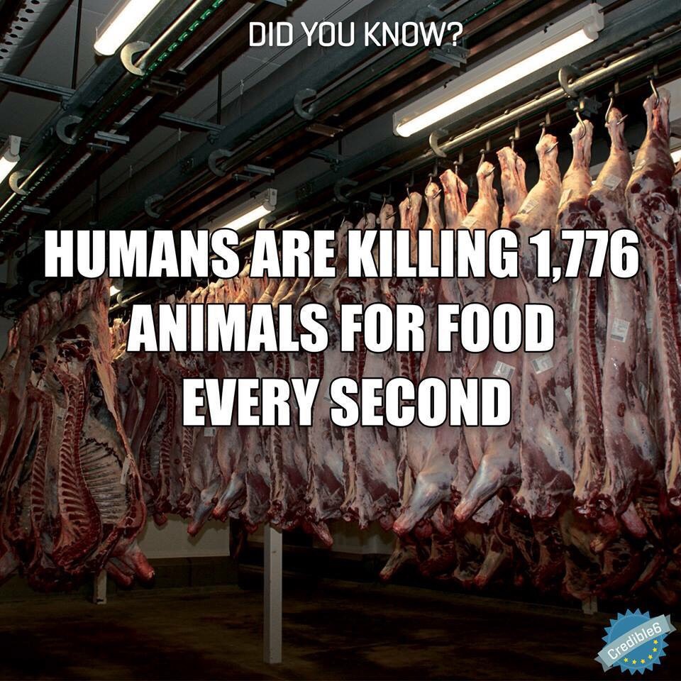 Fun Food Facts. 😊