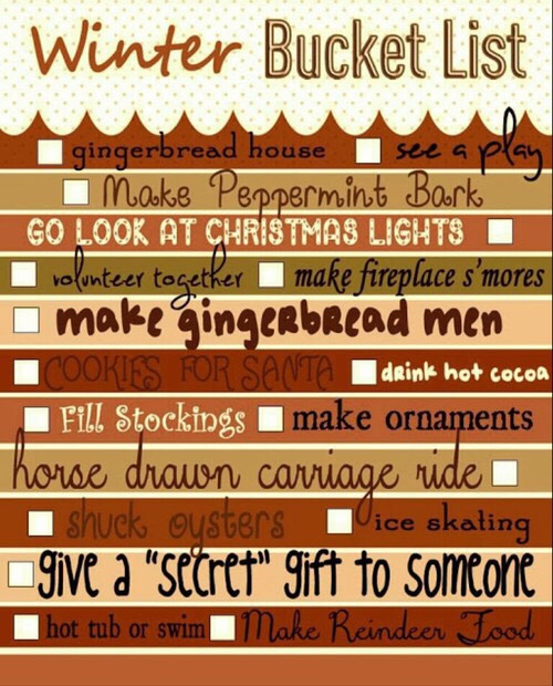 WINTER BUCKET LIST|2015-16