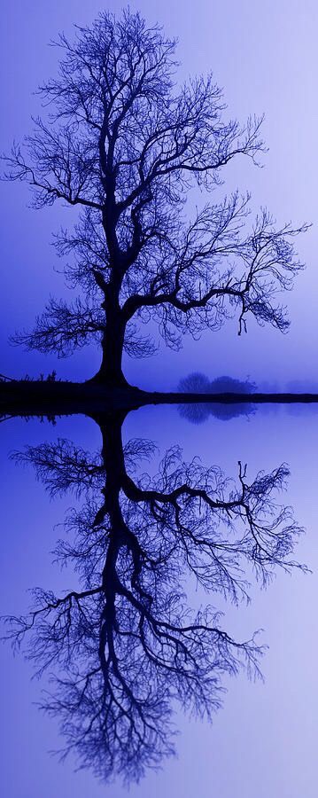 Blue💙
