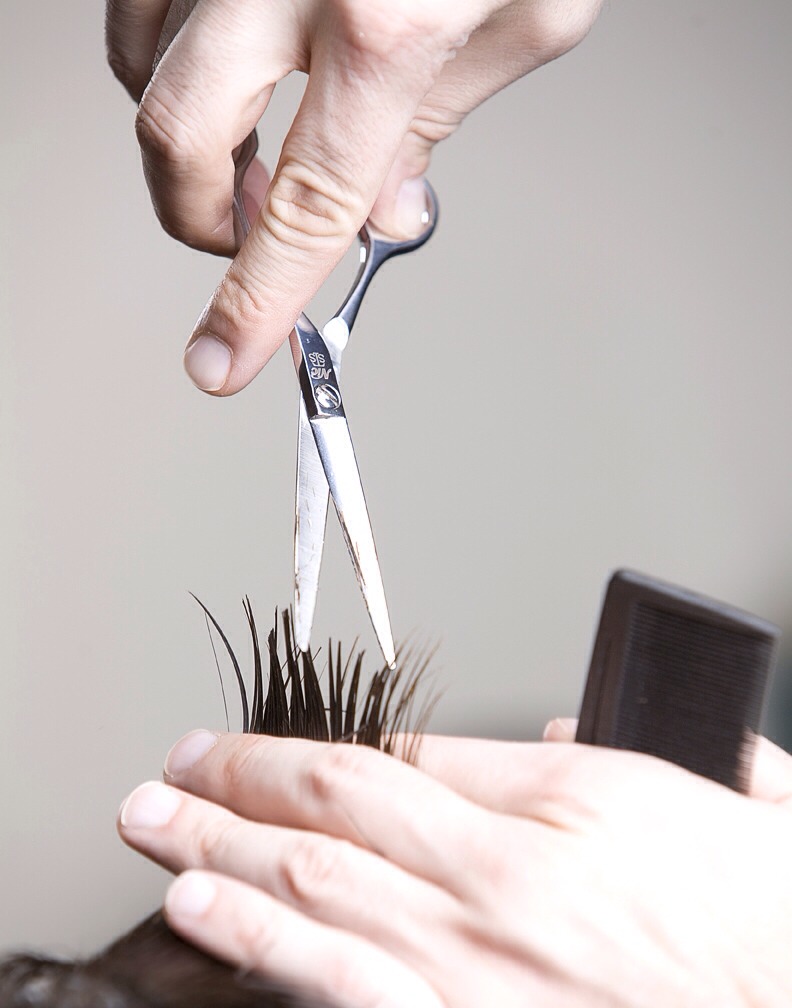 Trim hair regularly every 4 months is best. If not dead ends will accumulate and stop your hair from growing.