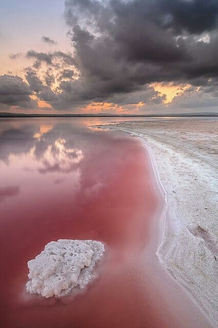 Laguna Salada de Torreviaje in Spain