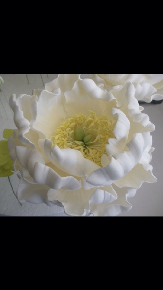 Although this flower may look difficult it's really not ! It's all about how you cut the petal and in this case you need to play around with how you bend the petals once you have arranged them. The effect is beautiful. 