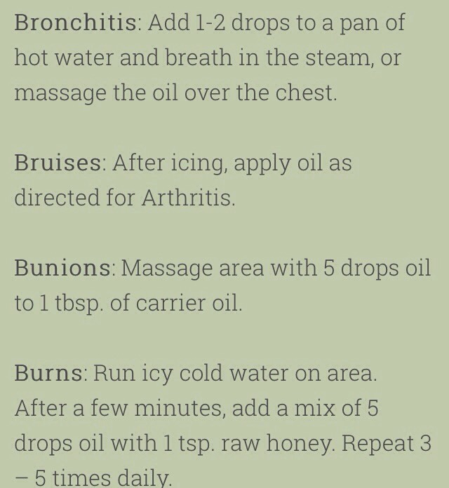 💥75 Amazing Tea Tree Oil Uses💥