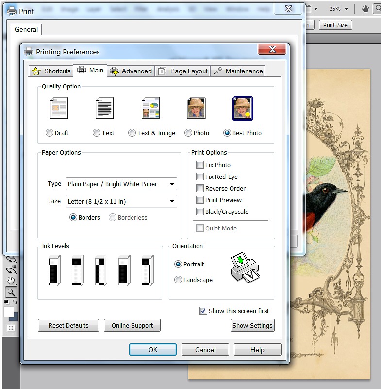 Step 4: Adjust your printer settings. When you hit the print button and get the pop up window, you should have some type of button for “Printer Preferences” click on that and select “Best Photo” and then print. This will put a nice amount of ink on your fabric, for the best quality image.