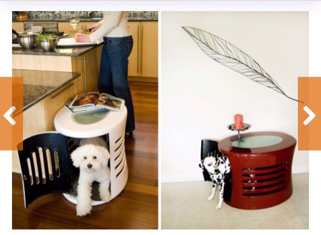 🌟 Creative Dog Bed Ideas You And Furry Friend Wld Love! 🌟