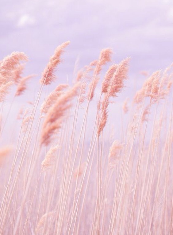 #PantoneContest Ultimate Pantone 