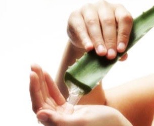 4th way: not only does Aloe Vera plant help with cuts and bruises but it helps with acne and acne scars. Just put it on the acne scars and just let it soak in for about 10-15 minutes. U can wash it off but there's no reason to wash it off.