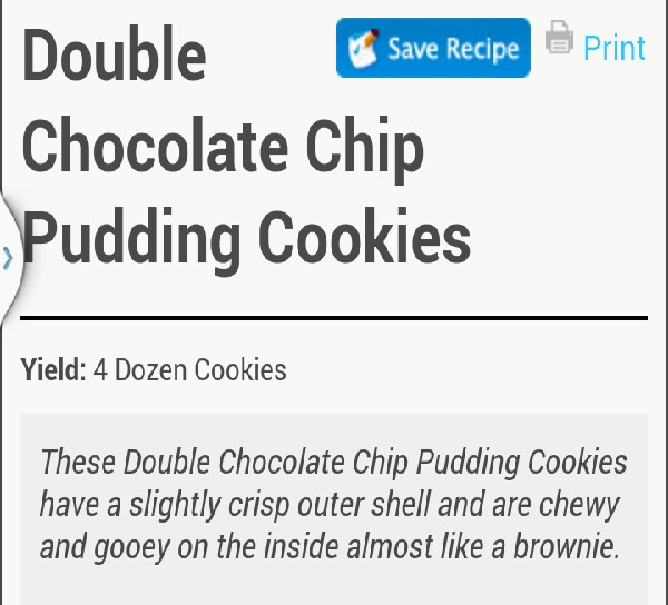 Double Chocolate Chip Pudding Cookies!