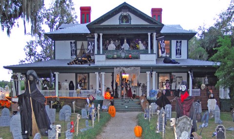 Halloween ideas 