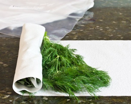 Wrap fresh herbs( cilantro, mints, basil leaves etc.) in a paper towel and store them in a plastic bag.