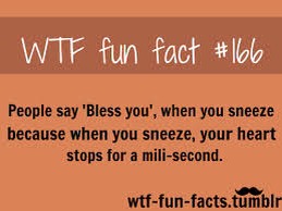Fun Facts