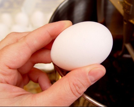 Add one egg to mix (optional)