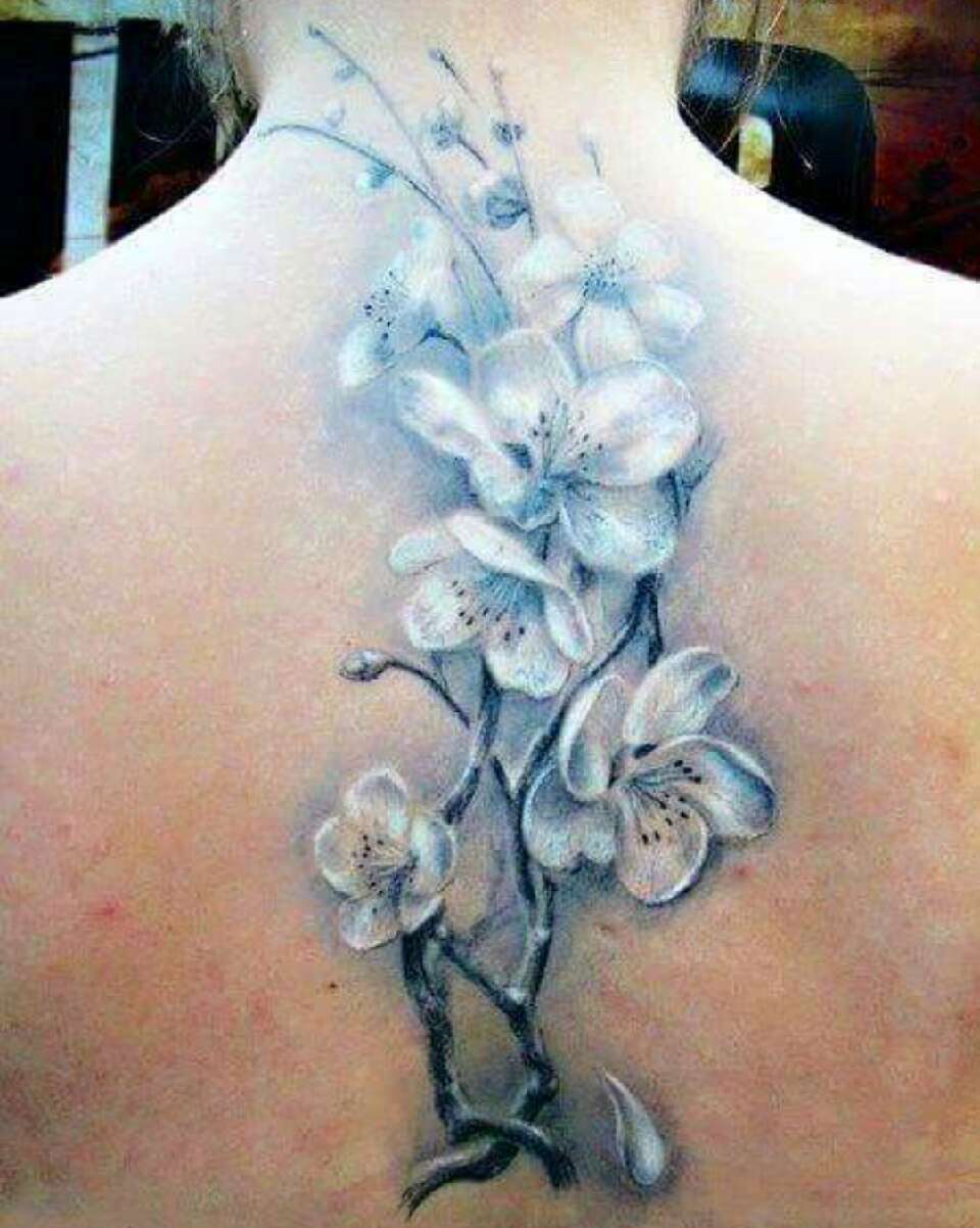Spectacular Spine Tattoos !!!