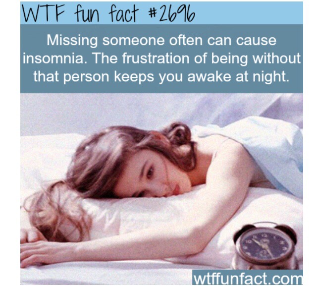 Fun Crazy Facts