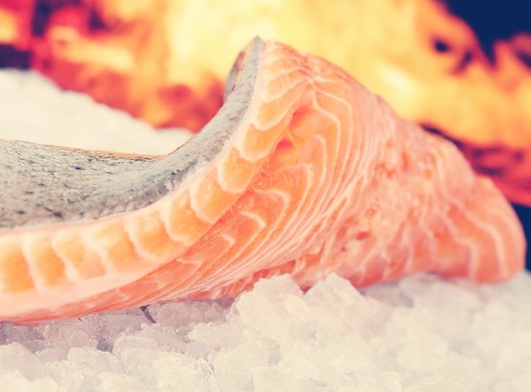 Salmon 