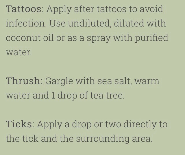 💥75 Amazing Tea Tree Oil Uses💥