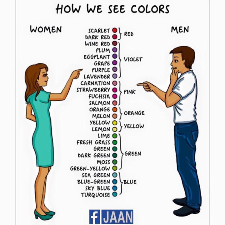 How Men And Women See Different Things. 😊 Really Hilarious. 